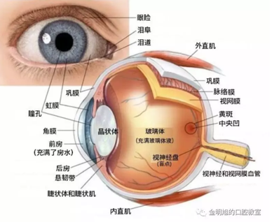 半导体激光口腔应用规范化培训课程（二）