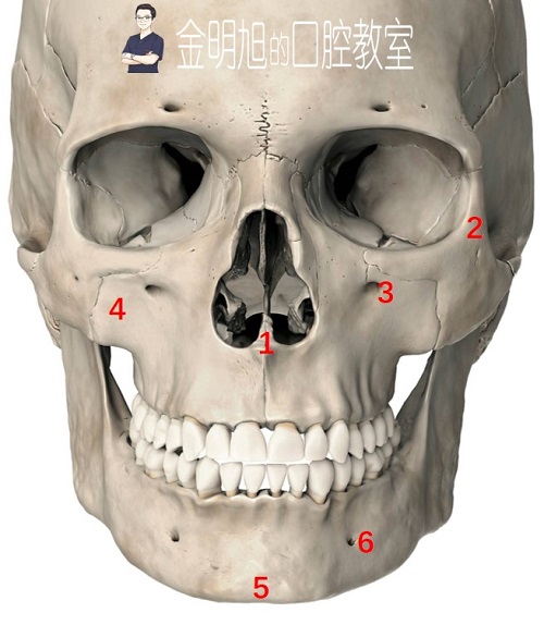 前鼻嵴:此区域取骨,种牙都可能引起严重肿胀,术后应用地塞米松(消肿)
