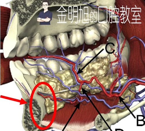 图片7.jpg