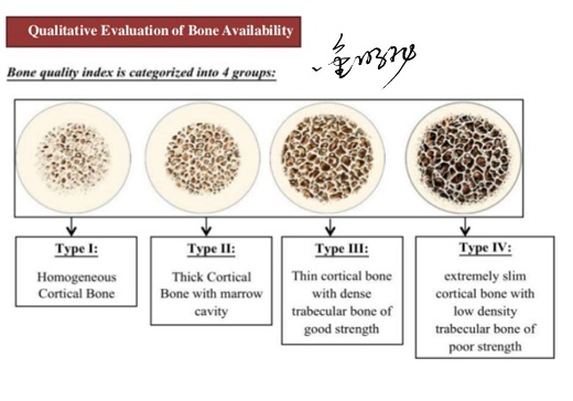 骨密度分类.jpg